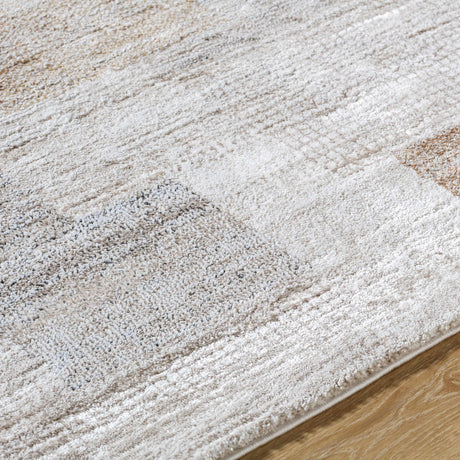 Anaisa Beige Luxe Thick Area Rug - Ornate Home