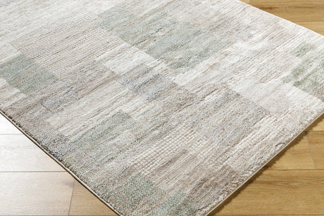 Anaisa Ivory Luxe Thick Area Rug - Ornate Home