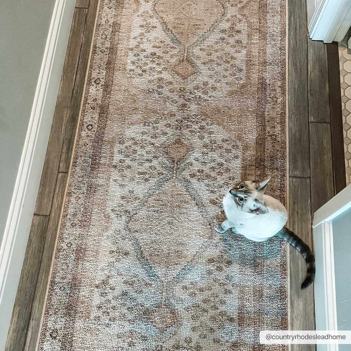 Analu Non-Slip Washable Rug - Ornate Home