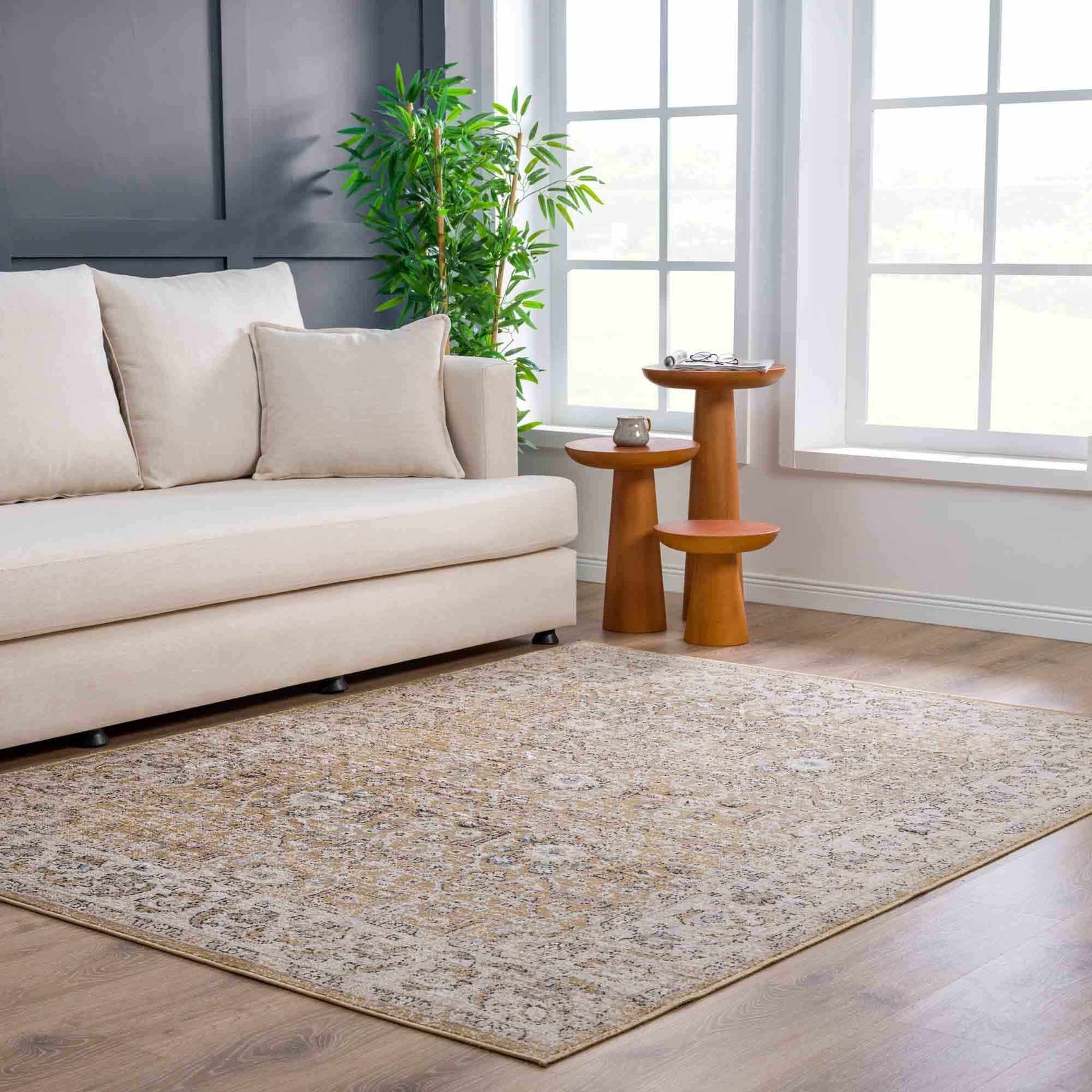 Anana Gold & Beige Area Rug - Clearance - Ornate Home