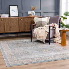 Anana Silver Blue & Beige Area Rug - Clearance - Ornate Home
