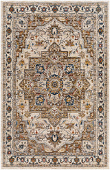 Anas Traditional Style Rug - Clearance - Ornate Home