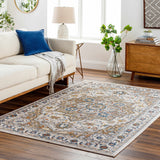 Anas Traditional Style Rug - Clearance - Ornate Home