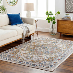 Anas Traditional Style Rug - Clearance - Ornate Home