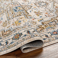 Anas Traditional Style Rug - Clearance - Ornate Home