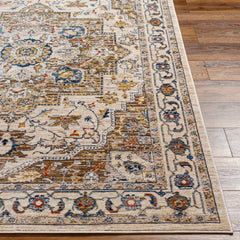 Anas Traditional Style Rug - Clearance - Ornate Home
