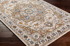 Anas Traditional Style Rug - Clearance - Ornate Home