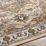 Anas Traditional Style Rug - Clearance - Ornate Home