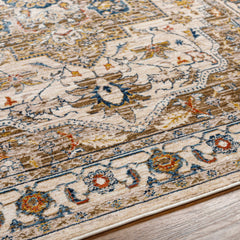 Anas Traditional Style Rug - Clearance - Ornate Home