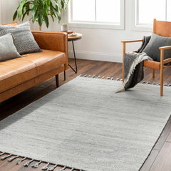 Anaya Beige & Blue Area Rug - Clearance - Ornate Home