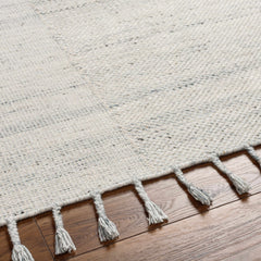 Anaya Beige & Blue Area Rug - Clearance - Ornate Home