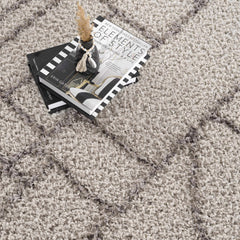 Andia Gray Area Rug - Clearance - Ornate Home