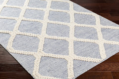 Andra Area Rug - Clearance - Ornate Home