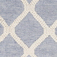 Andra Area Rug - Clearance - Ornate Home