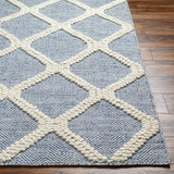 Andra Area Rug - Clearance - Ornate Home