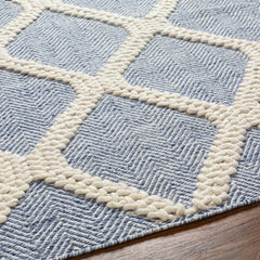 Andra Area Rug - Clearance - Ornate Home