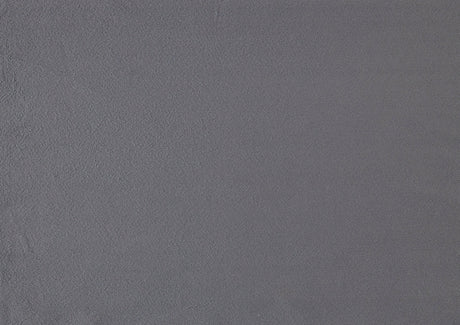 Andreas Gray/Black Side Chair (Set of 2) - Ornate Home