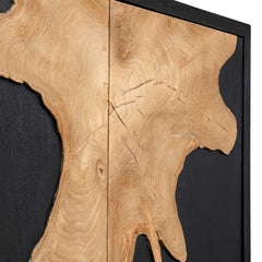 Andrei Teak Root 2 Door Cabinet - Ornate Home