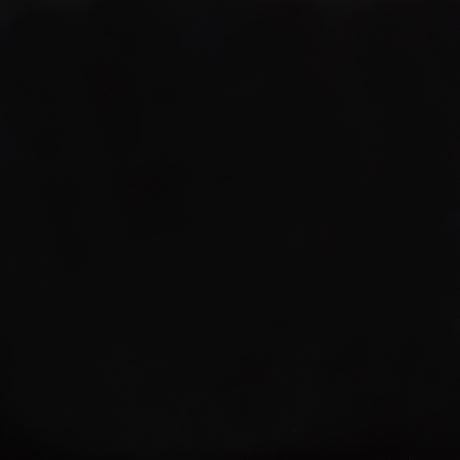 Andrews Black Windsor Counter Height Dining Side Chair (Set of 2) - Ornate Home