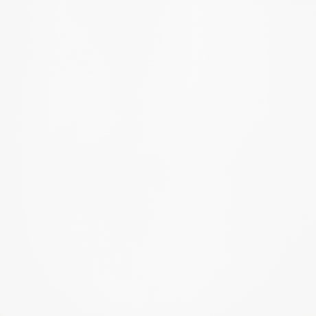 Andrews White Windsor Counter Height Dining Side Chair (Set of 2) - Ornate Home