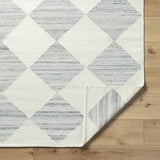 Andrin Light Gray Area Rug - Ornate Home