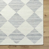 Andrin Light Gray Area Rug - Ornate Home