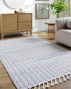 Anelia Medium Gray Area Rug - Clearance - Ornate Home