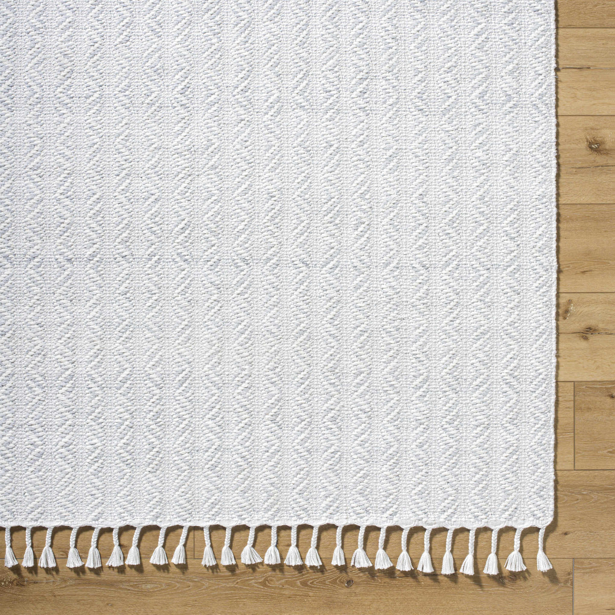 Anelia Powder Blue Area Rug - Clearance - Ornate Home