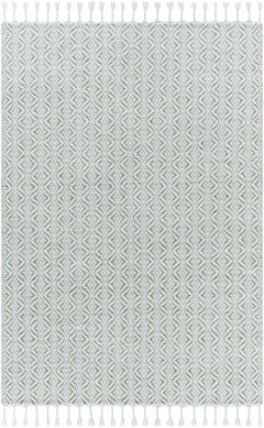 Anelia Sage Area Rug - Clearance - Ornate Home