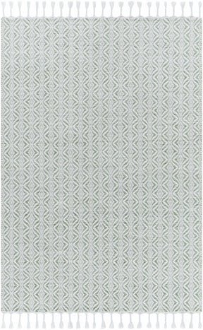 Anelia Sage Area Rug - Clearance - Ornate Home