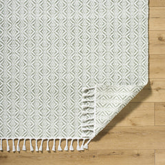 Anelia Sage Area Rug - Clearance - Ornate Home