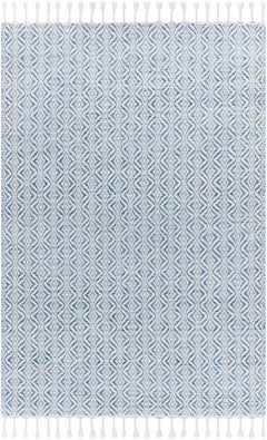 Anelia Sky Blue Area Rug - Clearance - Ornate Home