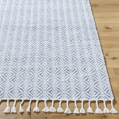 Anelia Sky Blue Area Rug - Clearance - Ornate Home