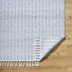 Anelia Sky Blue Area Rug - Clearance - Ornate Home