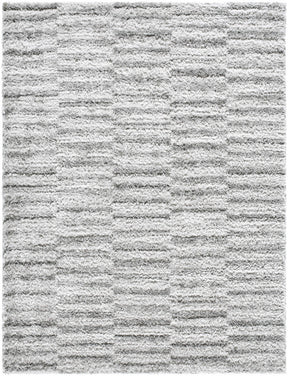 Anevay Dark Gray Area Rug - Ornate Home