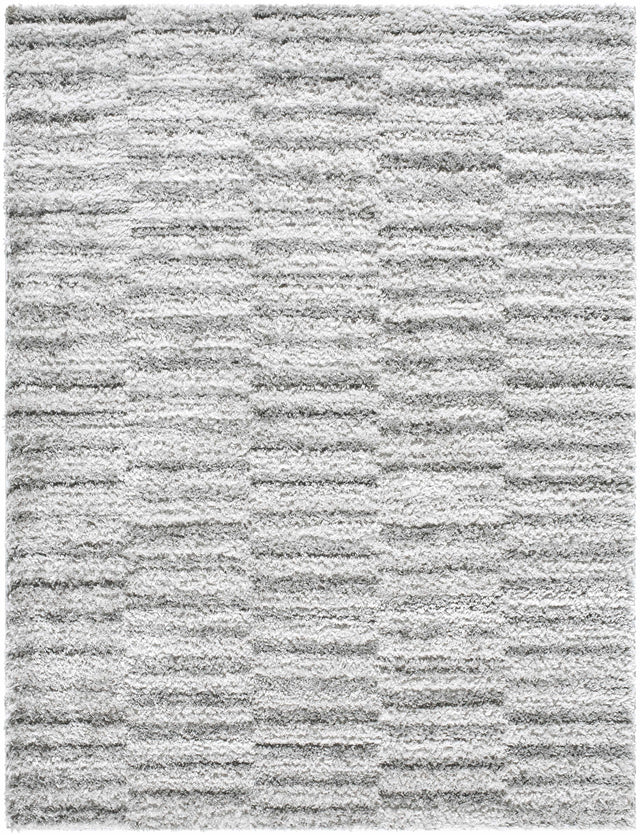 Anevay Dark Gray Area Rug - Ornate Home