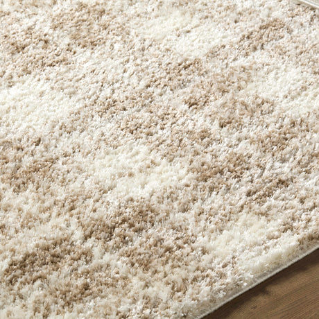 Anfisa Beige Luxe Shag Area Rug - Ornate Home
