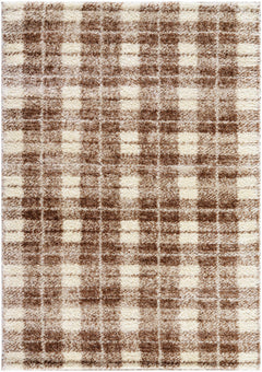 Anfisa Beige Luxe Shag Area Rug - Ornate Home
