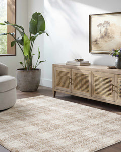 Anfisa Beige Luxe Shag Area Rug - Ornate Home
