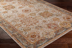 Ange Tan & Blue Rich Textured Traditional Rug - Ornate Home