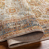 Ange Tan & Blue Rich Textured Traditional Rug - Ornate Home