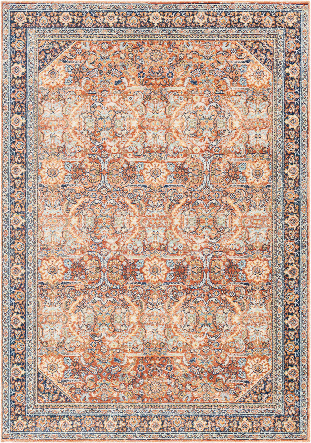 Ania Outdoor Area Rug - Clearance - Ornate Home