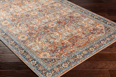 Ania Outdoor Area Rug - Clearance - Ornate Home
