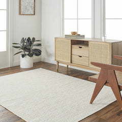Aniya Area Rug - Clearance - Ornate Home