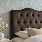 Annabel Chocolate Brown Stain-Resistant Performance Velvet Twin Headboard - Ornate Home