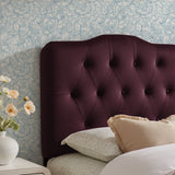 Annabel Mulberry Stain-Resistant Performance Velvet Twin Headboard - Ornate Home