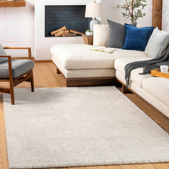 Annalong Modern High Pile Luxe Rug - Ornate Home