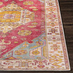 Anopog Washable Area Rug - Clearance - Ornate Home