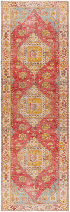 Anopog Washable Area Rug - Clearance - Ornate Home