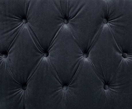 Ansario Black Velvet Stationary Sofa - Ornate Home